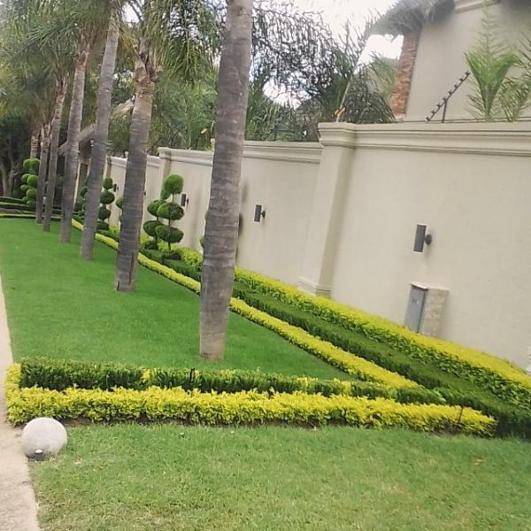 Instant Lawn, Artificial Grass & Tree Felling JHB: 068 474 7303