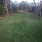 LawnKing Gardens for Instant Lawn prices that will leave you amazed.