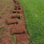 Compost Randburg | Instant Lawn Fourways | Instant Lawn Greenside | Instant Lawn Pretoria | Lawndressing Randburg