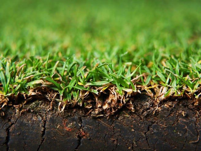Laying of Instant Lawn | LM Grass Roodepoort, Laying of Instant Lawn randburg, Laying of Instant Turf Illovo, Affordable Instant Lawn Prices with LawnKing