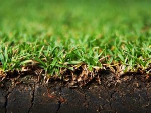 Instant Lawn Supply and Laying by LawnKing Gardens | LM Grass In Randburg | Kikuyu Grass Prices in Randburg
