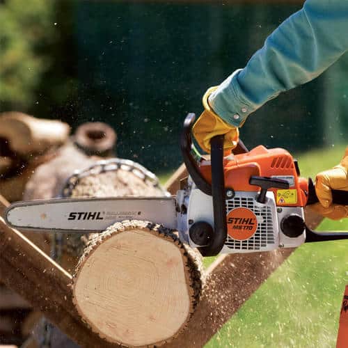 Tree Felling and Tree Removal in Randburg | Affordable Tree Removal services in Randburg