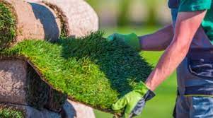Instant Lawn Supplier in Randburg | We are your Premier, Professional Instant lawn supplier and installer in Randburg, Roodepoort and Midrand.