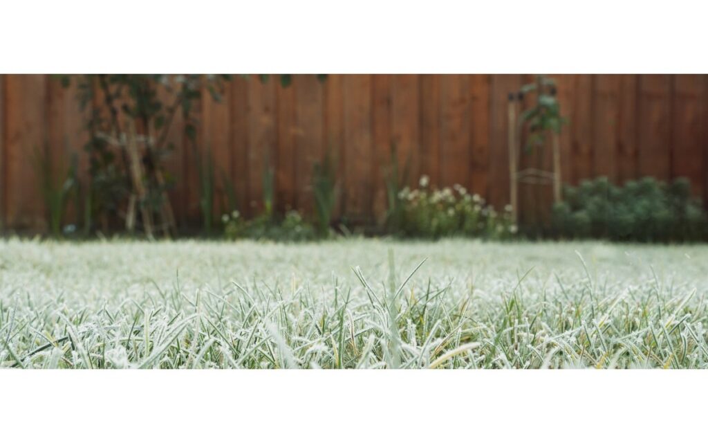 Top Dressing Lawn During Winter | Instant Lawn Randburg