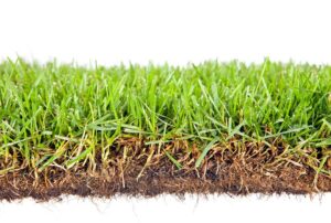 Instant lawn issues Randburg, Randburg lawn care problems, Common lawn problems Midrand, Midrand instant lawn troubleshooting, Lawn maintenance Randburg, Randburg lawn diseases, Midrand turf issues, Randburg grass solutions, Lawn pests Midrand, Turf challenges Randburg, Best grass for Midrand climate, Troubleshooting Randburg lawn issues, Midrand lawn care advice, Instant lawn care tips Randburg, Common grass problems in Midrand, Lawn problems and solutions Randburg.