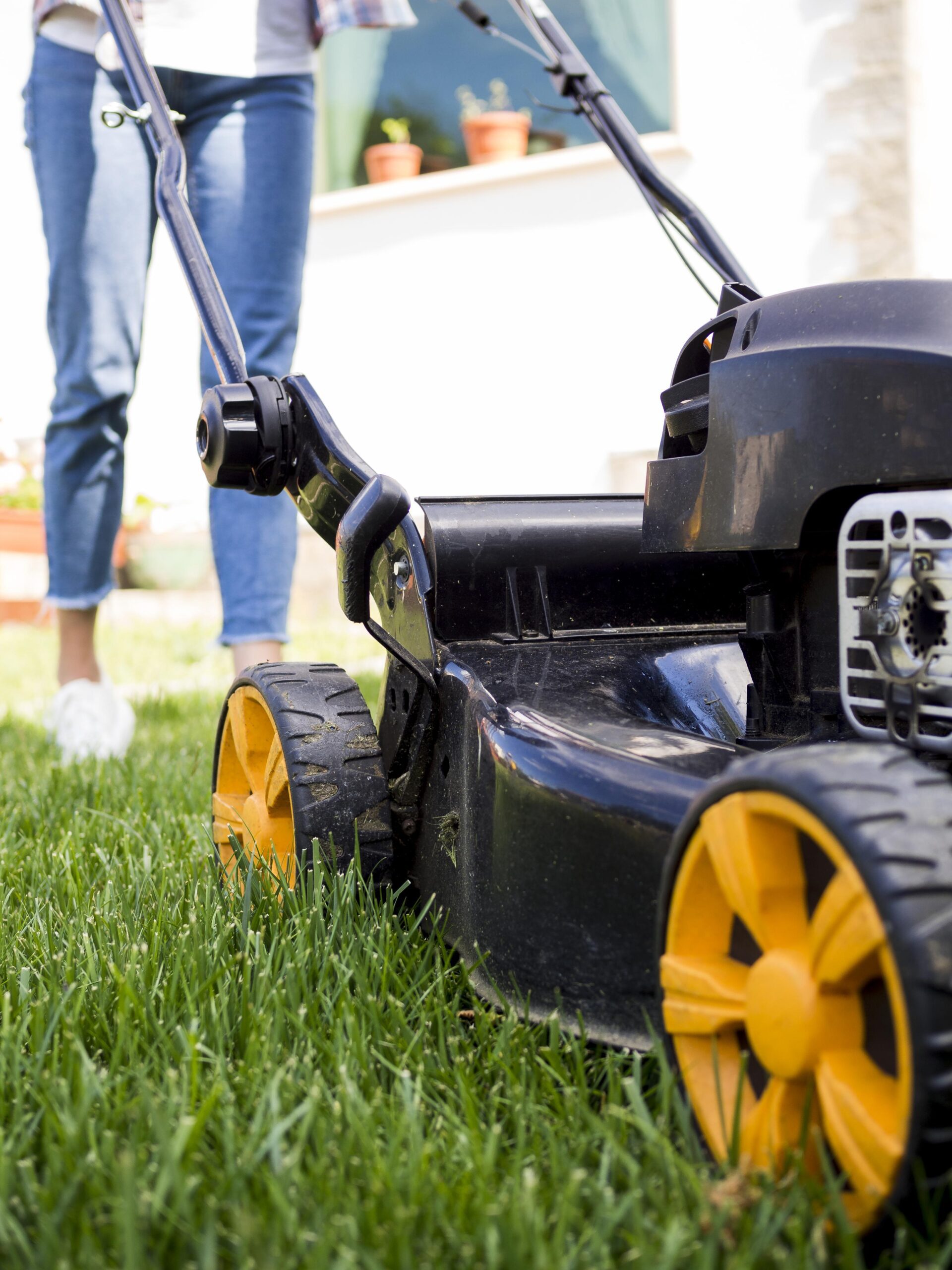 When and How to First Mow Your LM Grass Instant Lawn